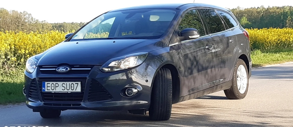 Ford Focus cena 32900 przebieg: 169000, rok produkcji 2014 z Opoczno małe 254